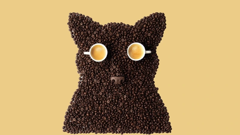 قهوه از مدفوع گربه زباد (Kopi Luwak)